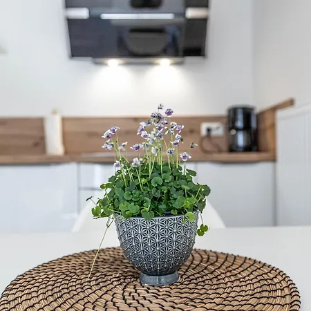 Apartman Fewo1846 - Lille Loft - Strandnahes Im Erdgeschoss